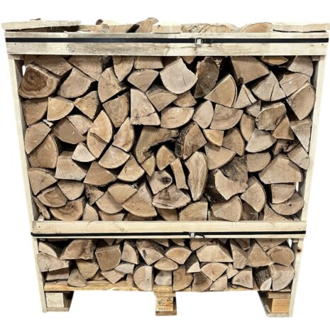 Photoroom_20250819_161119 Photoroom_20250819_161119