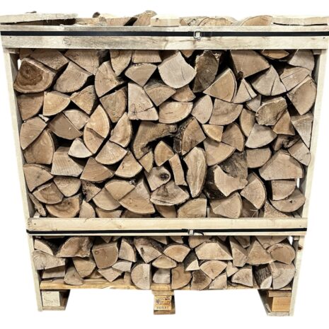 Photoroom_20250819_161119 Photoroom_20250819_161119