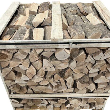 Photoroom_20250819_161212 Photoroom_20250819_161212